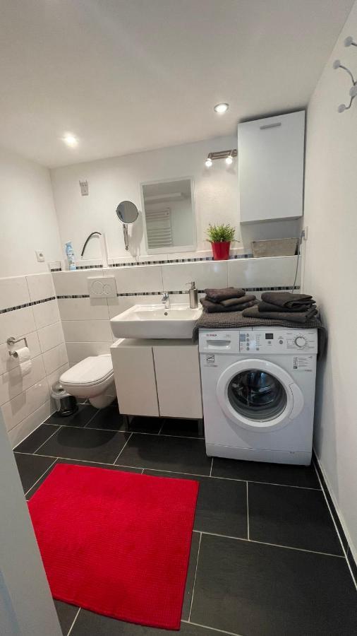 Appartment Basel 圣路易 外观 照片