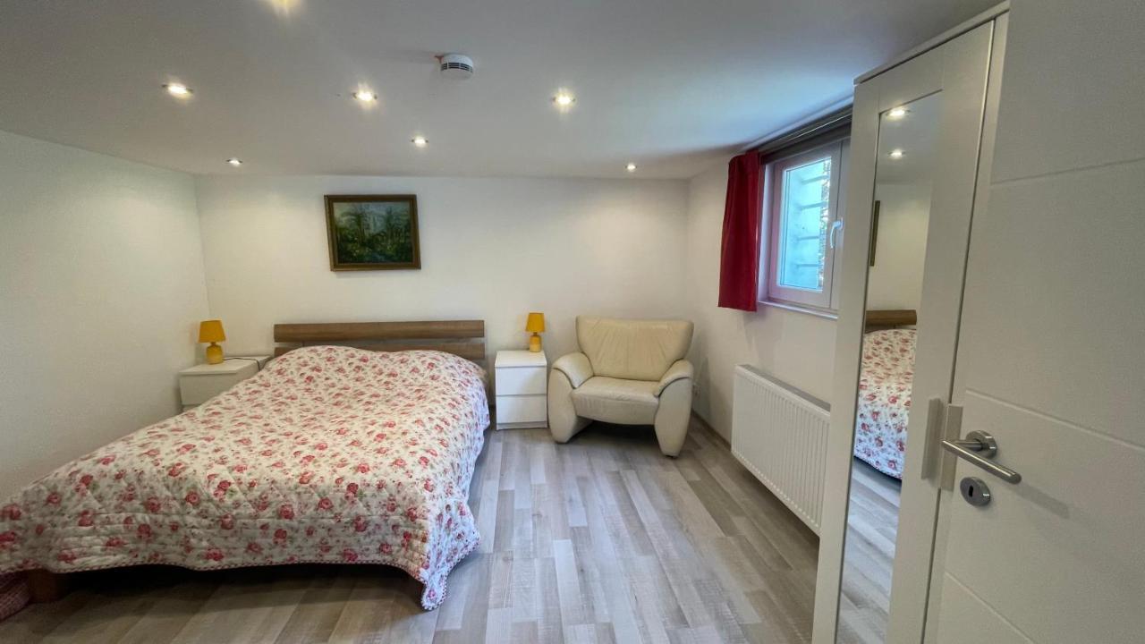 Appartment Basel 圣路易 外观 照片