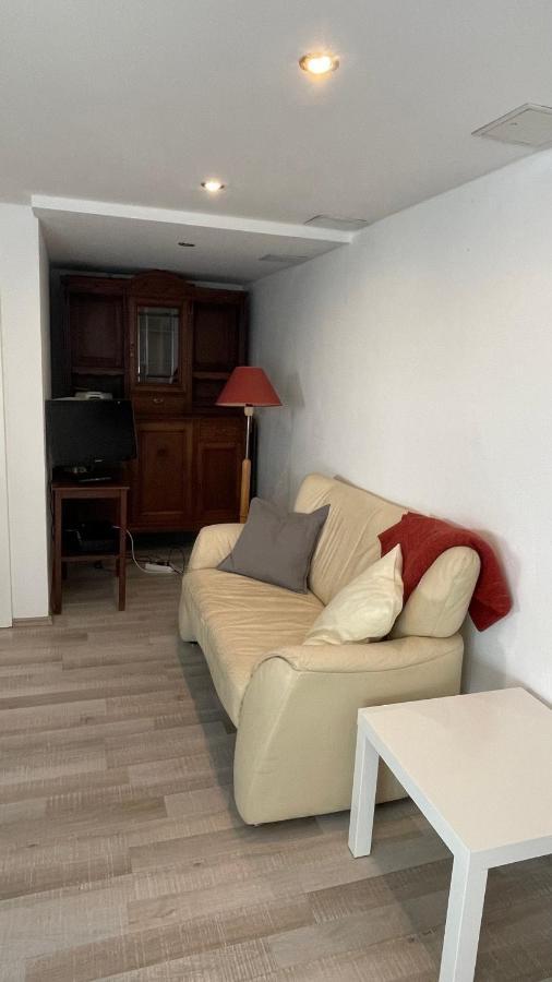 Appartment Basel 圣路易 外观 照片